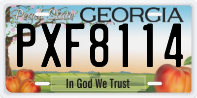 GA license plate PXF8114
