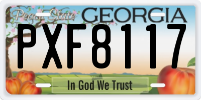 GA license plate PXF8117