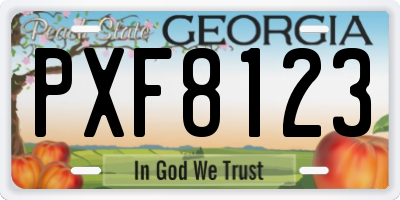 GA license plate PXF8123
