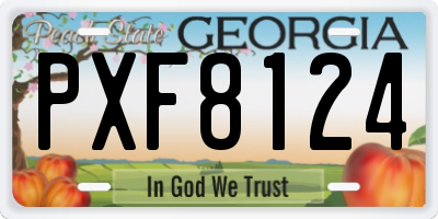 GA license plate PXF8124