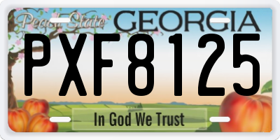 GA license plate PXF8125