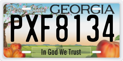 GA license plate PXF8134