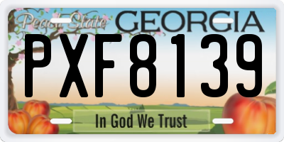 GA license plate PXF8139
