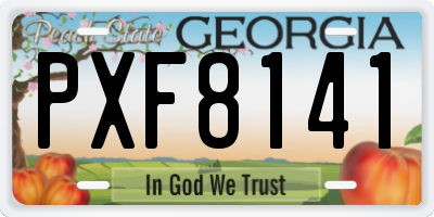 GA license plate PXF8141