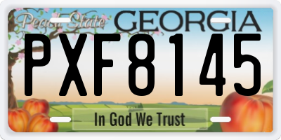 GA license plate PXF8145