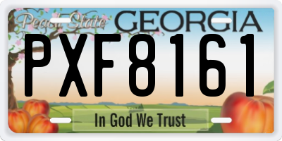 GA license plate PXF8161