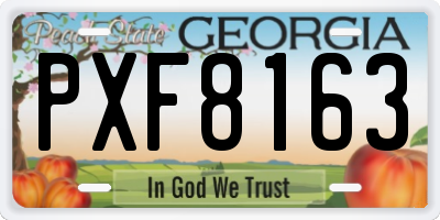 GA license plate PXF8163