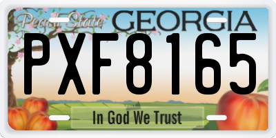 GA license plate PXF8165