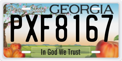 GA license plate PXF8167