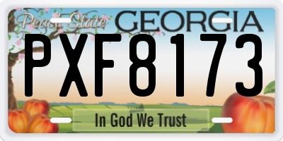 GA license plate PXF8173