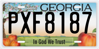 GA license plate PXF8187
