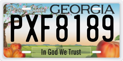 GA license plate PXF8189