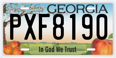GA license plate PXF8190