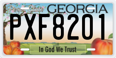 GA license plate PXF8201
