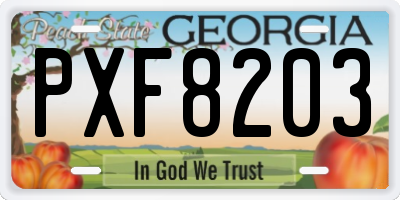 GA license plate PXF8203
