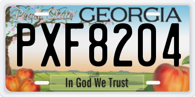GA license plate PXF8204