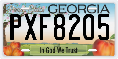 GA license plate PXF8205