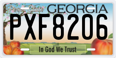 GA license plate PXF8206