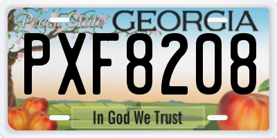 GA license plate PXF8208