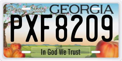 GA license plate PXF8209