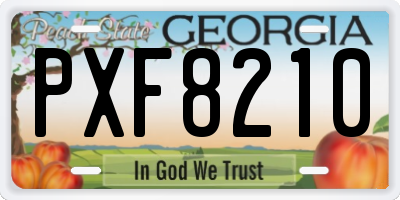 GA license plate PXF8210