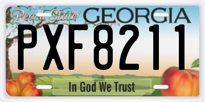 GA license plate PXF8211