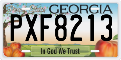 GA license plate PXF8213