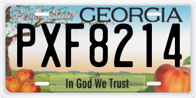 GA license plate PXF8214