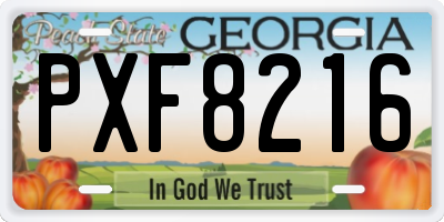 GA license plate PXF8216