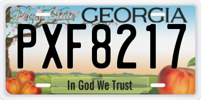 GA license plate PXF8217