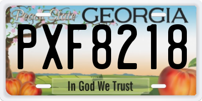 GA license plate PXF8218