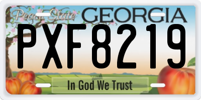 GA license plate PXF8219