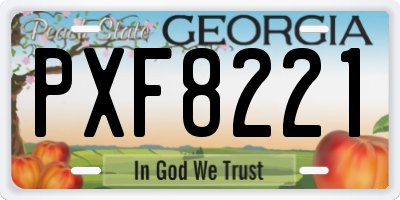 GA license plate PXF8221