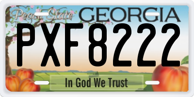 GA license plate PXF8222