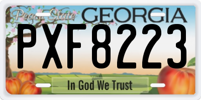 GA license plate PXF8223
