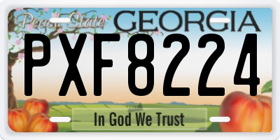 GA license plate PXF8224