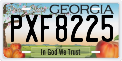 GA license plate PXF8225