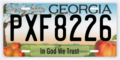 GA license plate PXF8226