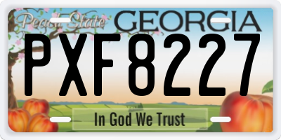 GA license plate PXF8227