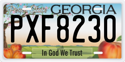 GA license plate PXF8230