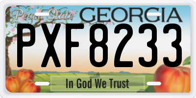 GA license plate PXF8233