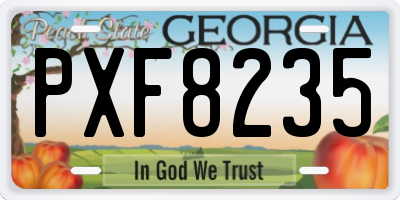 GA license plate PXF8235