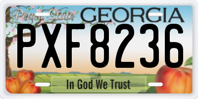 GA license plate PXF8236