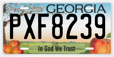 GA license plate PXF8239
