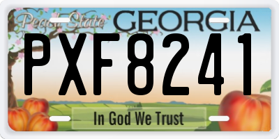 GA license plate PXF8241