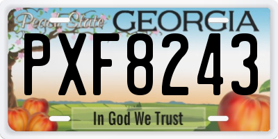 GA license plate PXF8243