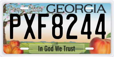 GA license plate PXF8244
