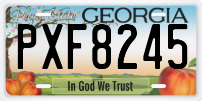 GA license plate PXF8245