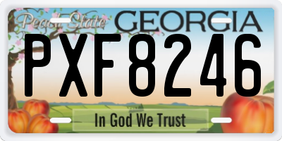 GA license plate PXF8246