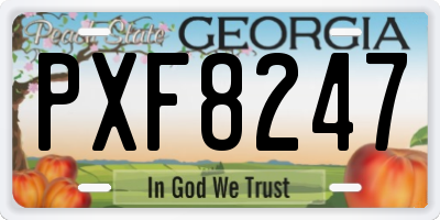 GA license plate PXF8247